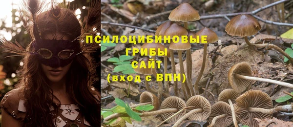 прущие крисы Абдулино