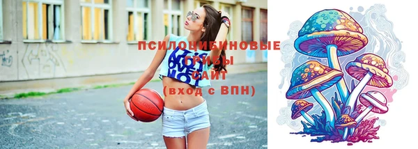 молекула духа Осташков